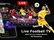 Experience Exciting Live Soccer Action with Willbet: Your Ultimate Betting Destination