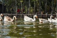 Discover the Excitement of Cassino Sao Paulo: A Guide to the Ultimate Gaming Experience in Brazil