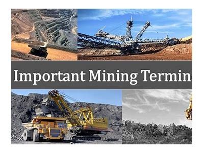 Exploring the Intricacies of Mining Vocabulary and Terminology in the Industry
