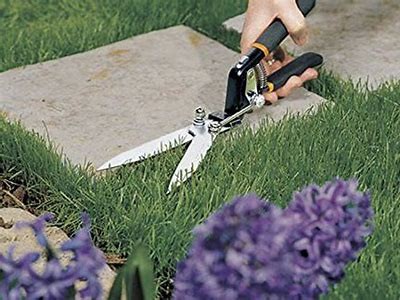 Best Grass Shears for Effortless Gardening: Top Picks for 2023