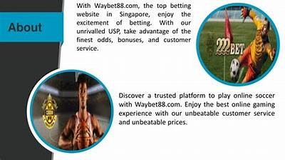 Enhance Your Sports Betting Experience with Willbet
