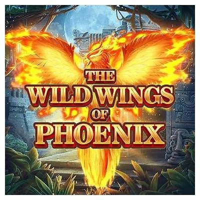 Discover Exciting Games and Bonuses at Willbet Casino Online Today
