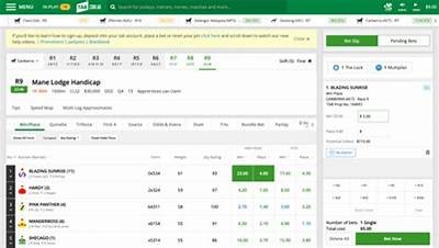 How to Easily Complete Your Willbet Sign Up Process and Start Betting Today