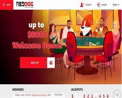 Discover the Best Online Casinos for 2023: Top Picks and Reviews for Players