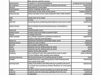 Exploring the Intricacies of Mining Vocabulary and Terminology in the Industry