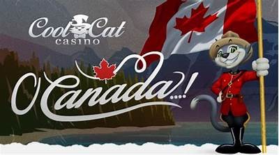 Discover the Best No Deposit Bonus Codes for Cool Cat Casino in 2023